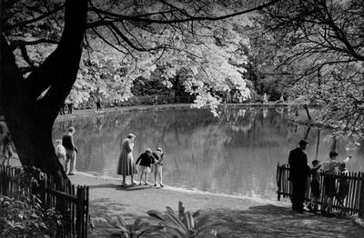 Spring in Pollok Park