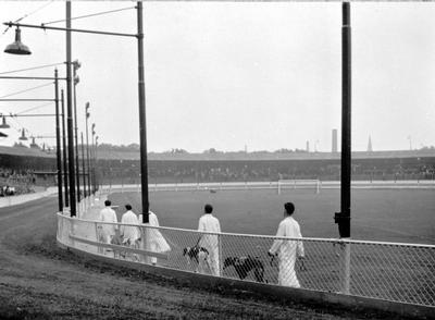 Greyhound racing at Shawfield Park