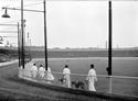 Greyhound racing at Shawfield Park